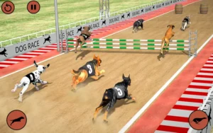 Cách Chơi Game Nhanh Đua Chó 789F Chi Tiết Và Hiểu Quả Cho Người Mới