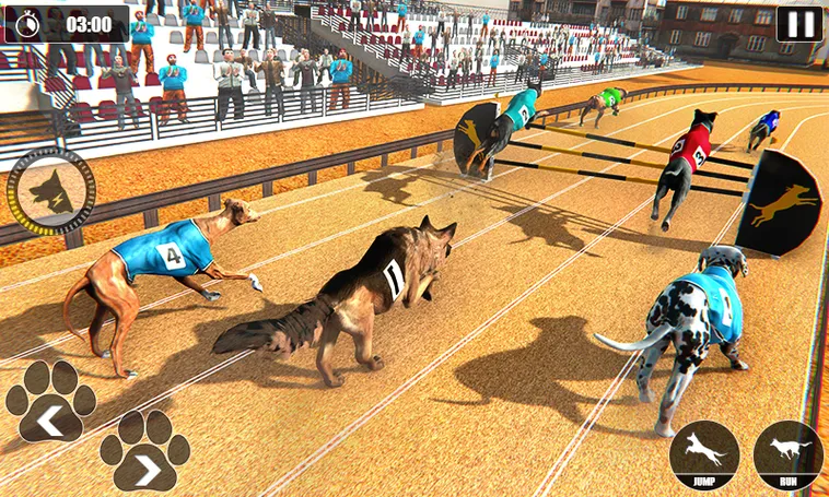 Cách Chơi Game Nhanh Đua Chó 789F Chi Tiết Và Hiểu Quả Cho Người Mới