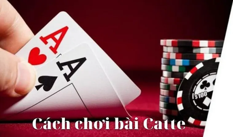 Cách Chơi Sắc Tê Tại Nhà Cái 789F Hiệu Quả Dành Cho Người Mới Tham Gia